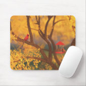 Autumn Guardian Mousepad Muismat (Met muis)