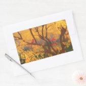 Autumn Guardian Stickers (Envelop)