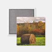 Autumn Harvest Magneet (Voorkant / Achterkant)