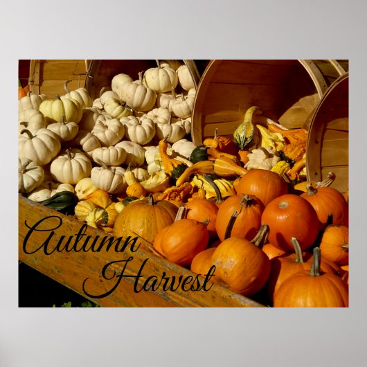 Autumn Harvest Poster (Voorkant)