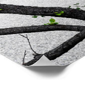 Autumn Herfst Tree Branches Poster (Hoek)