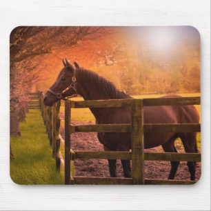 Autumn Horse Muismat