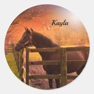 Autumn Horse Ronde Sticker