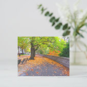 AUTUMN IN NEW YORK CITY BRIEFKAART (Staand voorkant)