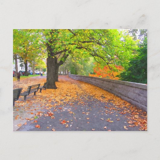 AUTUMN IN NEW YORK CITY BRIEFKAART (Voorkant)