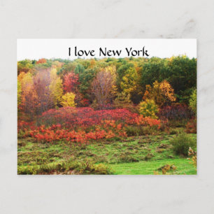 AUTUMN IN PLATTELANDSNIEUW-YORK BRIEFKAART