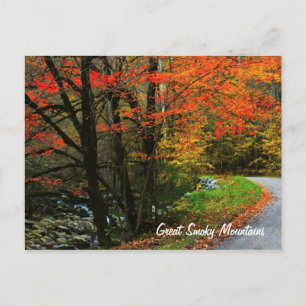 Autumn in Tremont - Grote Smoky Mountains Briefkaart