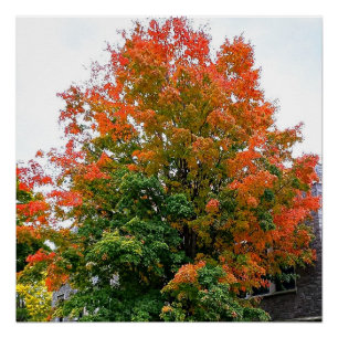 AUTUMN IS GOD PAININING poster Perfect Poster