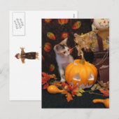 Autumn Kitten - Kaart met haalloween Cat (Voorkant / Achterkant)