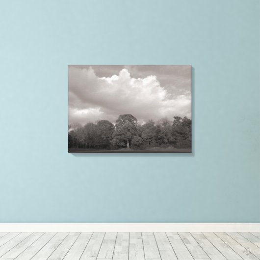 Autumn Landscape Bute Park Cardiff Canvas Afdruk (Insitu (Houten vloer))