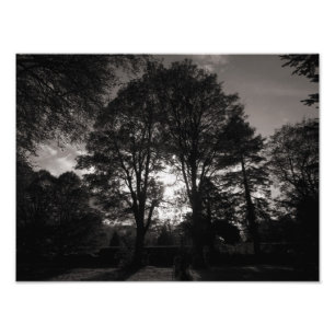 Autumn Landscape Bute Park Cardiff Foto Afdruk
