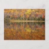 Autumn landschap met meer, Vermont, Verenigde Stat Briefkaart (Voorkant)