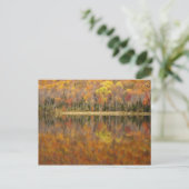 Autumn landschap met meer, Vermont, Verenigde Stat Briefkaart (Staand voorkant)