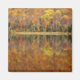 Autumn landschap met meer, Vermont, Verenigde Stat Magneet