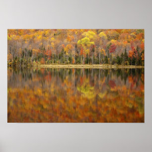 Autumn landschap met meer, Vermont, Verenigde Stat Poster