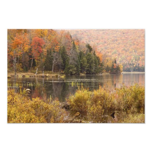Autumn landschap met meer, Vermont, VS 2 Foto Afdruk (Voorkant)