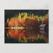 Autumn landschap op een meer briefkaart (Voorkant)