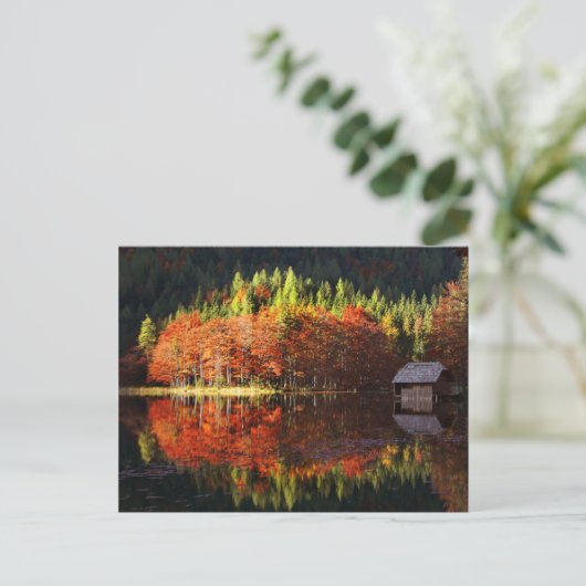 Autumn landschap op een meer briefkaart (Staand voorkant)