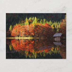Autumn landschap op een meer briefkaart