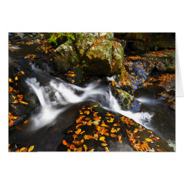 Autumn Landschap op Herfsten van Spruce Flats