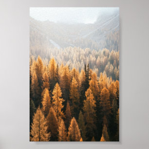 Autumn Landschap Poster