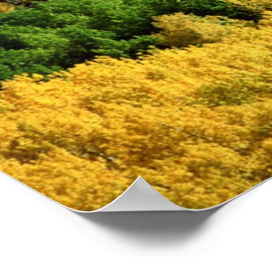 Autumn Landschap Poster (Hoek)