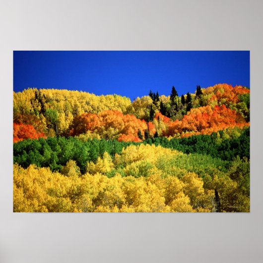 Autumn Landschap Poster (Voorkant)