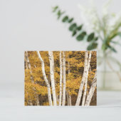 Autumn landschap, Vermont, Verenigde Staten Briefkaart (Staand voorkant)