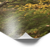 Autumn landschap, Vermont, Verenigde Staten Foto Afdruk (Hoek)