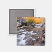 Autumn langs bisschop Creek, CA Magneet (Voorkant / Achterkant)