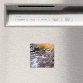 Autumn langs bisschop Creek, CA Magneet (Insitu (Vaatwasser))