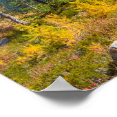 Autumn Larches bij Easy Pass Poster (Hoek)