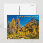 Autumn Larches bij Easy Pass Washington Briefkaart (Voorkant / Achterkant)