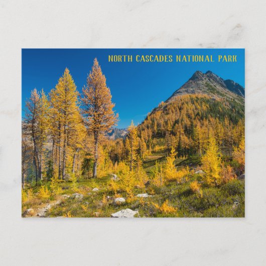 Autumn Larches bij Easy Pass Washington Briefkaart (Voorkant)