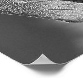 Autumn Leaf - B&W Poster (Hoek)