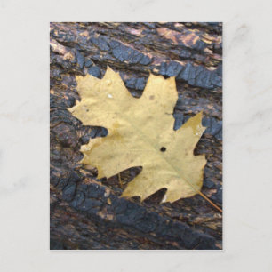 Autumn leaf briefkaart