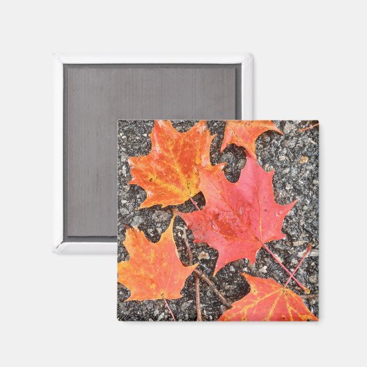 Autumn Leaf Collage Magneet (Voorkant / Achterkant)