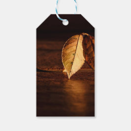 Autumn Leaf Dawn Abstract Cadeaulabel