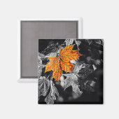Autumn Leaf Magneet (Voorkant / Achterkant)