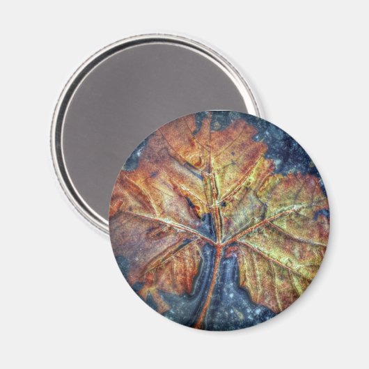 Autumn Leaf Magnet Magneet (Voorkant / Achterkant)