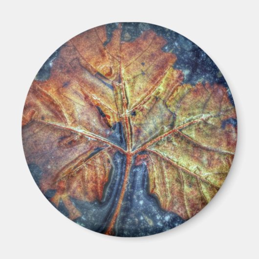 Autumn Leaf Magnet Magneet (Voorkant)