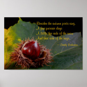 Autumn Leaf met Nut & Emily Dickinson Poem Poster