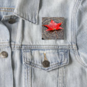 Autumn Leaf on Log Square Button (In situ)