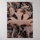 Autumn Leaf Poster Print (Voorkant)