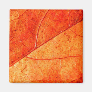 Autumn Leaf Square Magnet Magneet