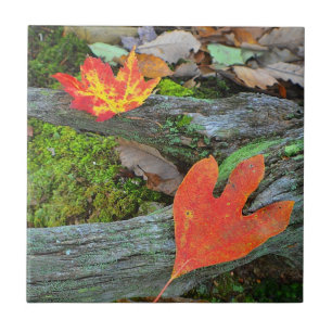 Autumn Leaf Tile Tegeltje