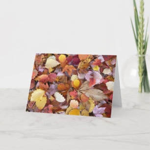 Autumn Leaves Blank Note Card Kaart