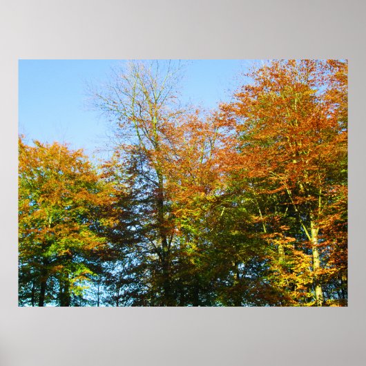 Autumn Leaves & Blue Skies - Personalised Poster (Voorkant)