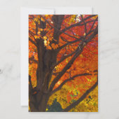 Autumn Leaves Bridal Shower Kaart (Achterkant)