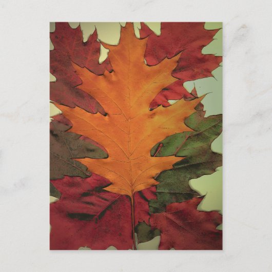 Autumn Leaves Briefkaart (Voorkant)